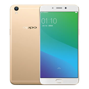 哈尔滨OPPO R9plus 4GB+64GB内存版 金色 双卡双待 全网通4G手机总代理批发兼零售，哈尔滨购网www.hrbgw.com送货上门,OPPO R9plus 4GB+64GB内存版 金色 双卡双待 全网通4G手机哈尔滨最低价格