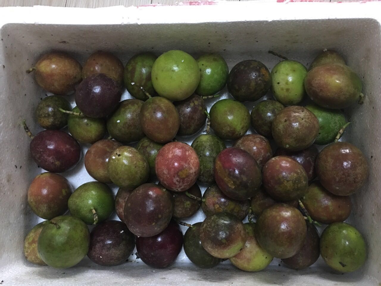 哈尔滨广西南宁百香果【特价】总代理批发兼零售，哈尔滨购网www.hrbgw.com送货上门,广西南宁百香果【特价】哈尔滨最低价格批发零售,京聪商城,哈尔滨购物送货上门。