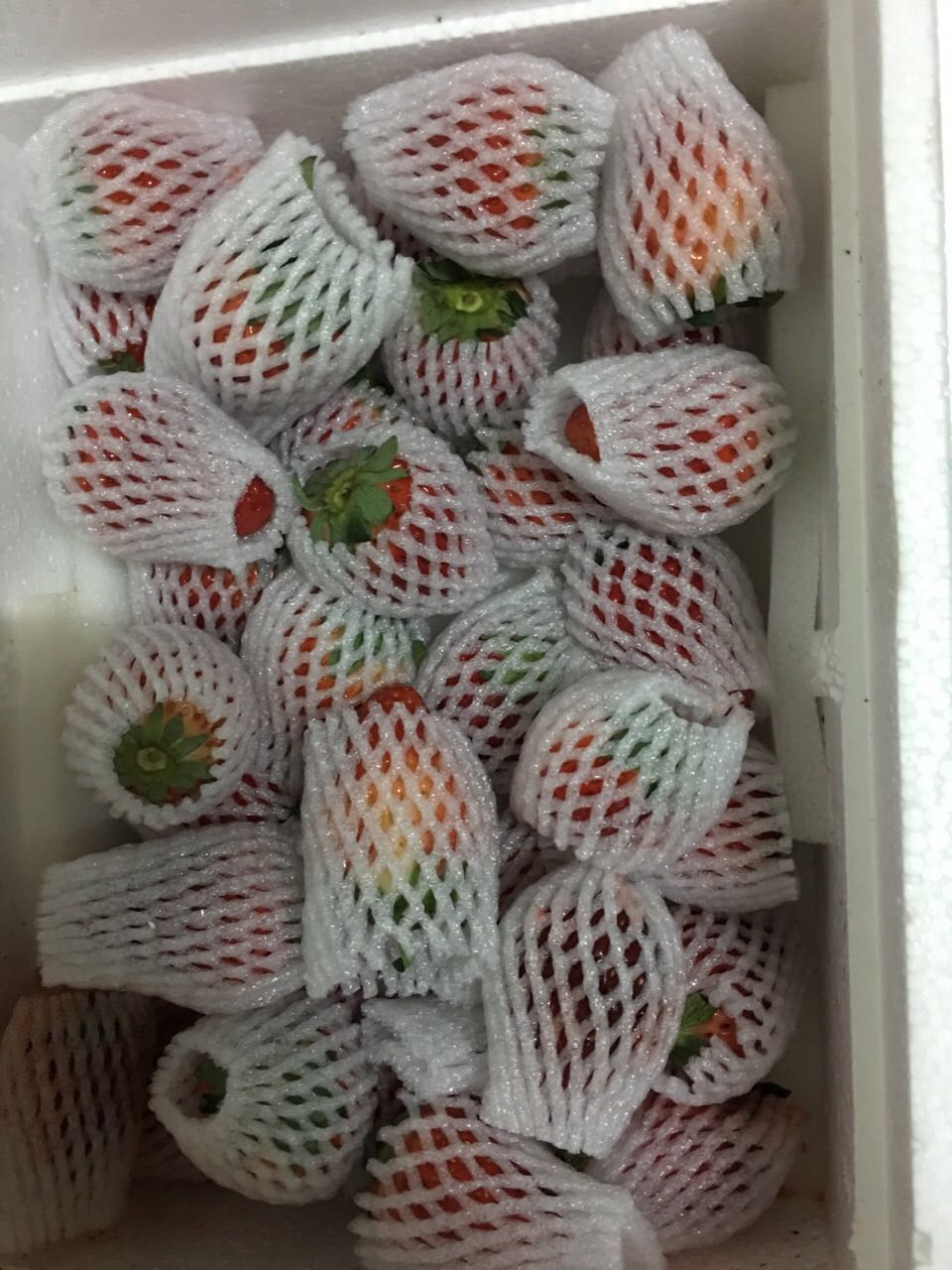 哈尔滨四川双流冬草莓总代理批发兼零售，哈尔滨购网www.hrbgw.com送货上门,四川双流冬草莓哈尔滨最低价格批发零售,京聪商城,哈尔滨购物送货上门。