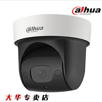 哈尔滨大华DH-SD2904-GN 200万红外30米4倍变焦2寸网络球机 无线WIFI 总代理批发兼零售，哈尔滨购网www.hrbgw.com送货上门,大华DH-SD2904-GN 200万红外30米4倍变焦2寸网络球机 无线WIFI 哈尔滨最低价格批发零售,京聪商城,哈尔滨购物送货上门。
