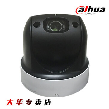 哈尔滨大华DH-SD2904-GN 200万红外30米4倍变焦2寸网络球机 无线WIFI 总代理批发兼零售，哈尔滨购网www.hrbgw.com送货上门,大华DH-SD2904-GN 200万红外30米4倍变焦2寸网络球机 无线WIFI 哈尔滨最低价格批发零售,京聪商城,哈尔滨购物送货上门。