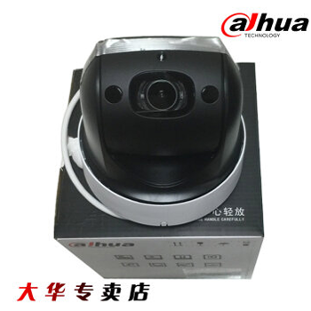 哈尔滨大华DH-SD2904-GN 200万红外30米4倍变焦2寸网络球机 无线WIFI 总代理批发兼零售，哈尔滨购网www.hrbgw.com送货上门,大华DH-SD2904-GN 200万红外30米4倍变焦2寸网络球机 无线WIFI 哈尔滨最低价格批发零售,京聪商城,哈尔滨购物送货上门。