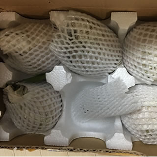 哈尔滨春见（耙耙柑）试吃装，四川蒲江新鲜水果总代理批发兼零售，哈尔滨购网www.hrbgw.com送货上门,春见（耙耙柑）试吃装，四川蒲江新鲜水果哈尔滨最低价格批发零售,京聪商城,哈尔滨购物送货上门。