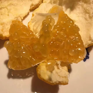 哈尔滨春见（耙耙柑）试吃装，四川蒲江新鲜水果总代理批发兼零售，哈尔滨购网www.hrbgw.com送货上门,春见（耙耙柑）试吃装，四川蒲江新鲜水果哈尔滨最低价格批发零售,京聪商城,哈尔滨购物送货上门。